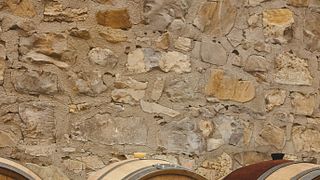 Dégustation de vins du lac Trasimène avec accords mets et vins locaux à la Cantina Di Colle