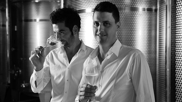 Le Volpere Winery