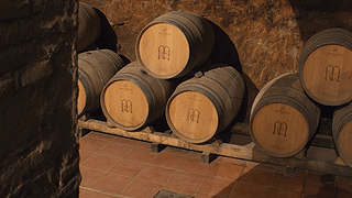 Underground Wine Magic: Castilla y León Tasting at Bodega Muelas