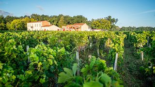 Dégustation et visite de vins au Château Nouret