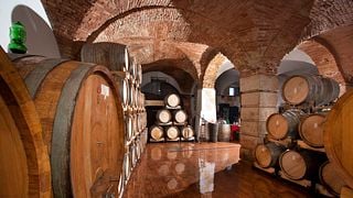 Wine Tasting and Tour at Azienda Agricola Monte Cicogna
