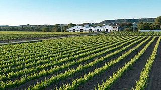 Bulles et chocolat chez Nadal