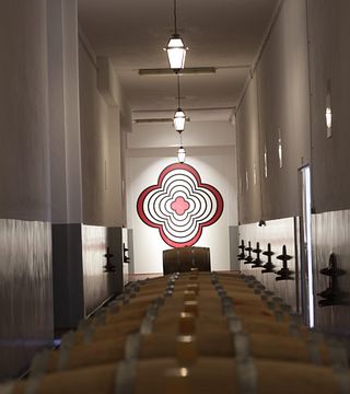 Dão & Lafões: Pedra Cancela's Premier Wine Journey