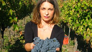 Weinprobe und Tour bei Stefania Barbot