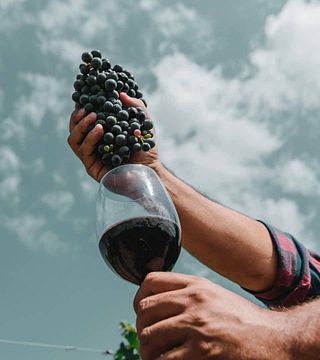Bodega Donozo Berlanga