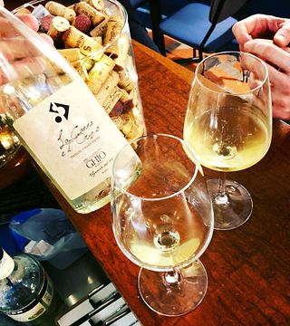 Degustação de vinhos populares e tour no Ghio Roberto-Vigneti Piemontemare
