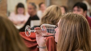 Almuerzo | Cata de vinos y visita guiada en Fattoria Della Talosa