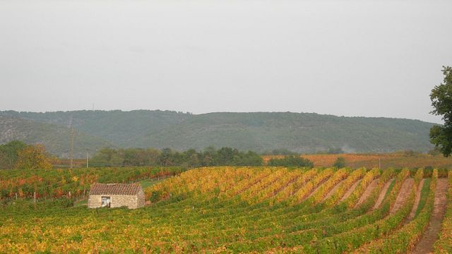 Degustazione di vini e tour al Domaine Les Roques de Cana