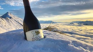 Dégustation de vins et visite chez Maori Point Wines