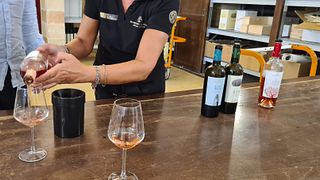Wine tours in Manduria vineyards