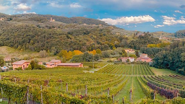 Adamo Winery estate