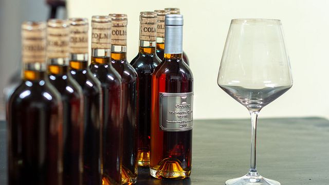 Degustação de vinhos populares e tour em Colmano