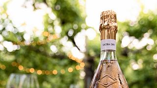 Tour de Vinhos Bellussera