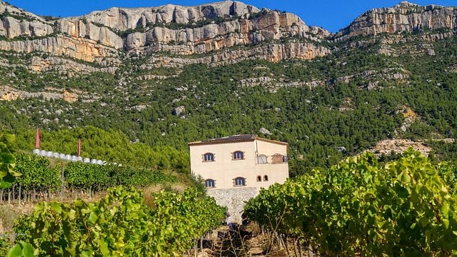 Visita in cantina con bambini | Celler Joan Ametller