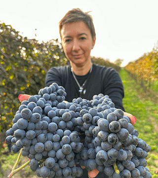 Cata de vinos y visita guiada en Villa Canthus