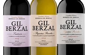Rioja Wine Journey at Bodega Gil Berzal