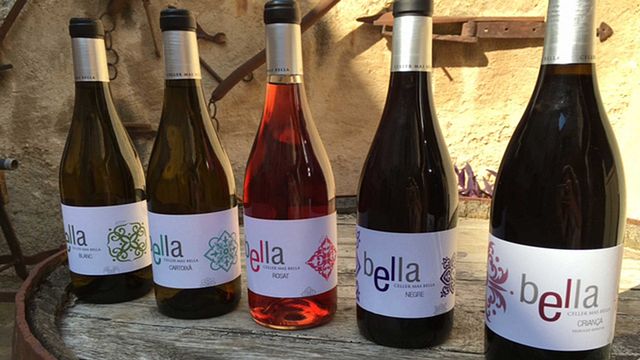 Oenotourisme au Celler Mas Bella