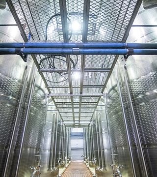 Dégustation de vins et visite du vignoble Mcgregor