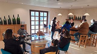 Cata de vinos y visita a Champagne Sourdet-Diot