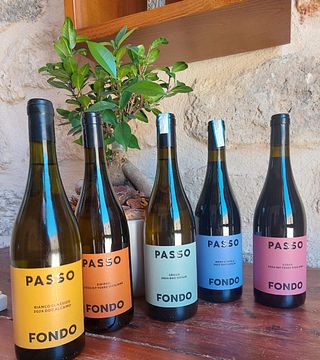 Degustação de 5 rótulos Tenute Baglio Passofondo