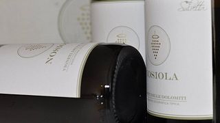 Wine tasting and tour at Azienda Agricola Salvetta