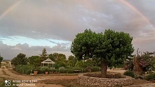 Dégustation de vins et visite de la Tenuta Patruno Perniola