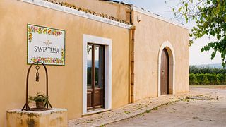 Tra i Filari di Santa Tresa