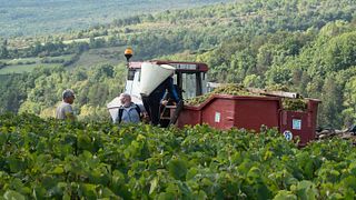 Domaine Charles François & Fils