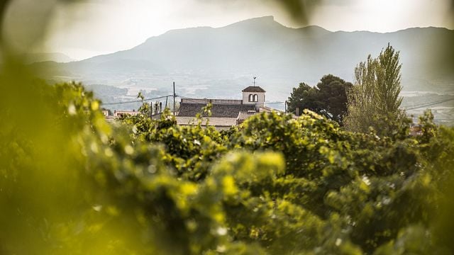 Catalan Wine Journey at Celler Josep Foraster