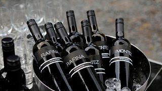 Introduction à la vinification chez Weinwerk - Die Weinmanukatur