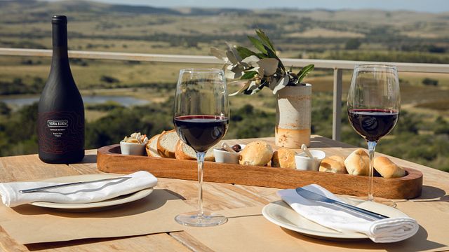 Cata y tour de vinos Premium en Viña Edén