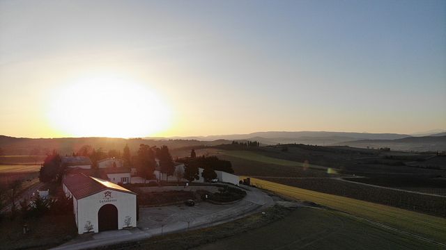 Visita de las bodegas con cata de vinos en Domaine La Louvière
