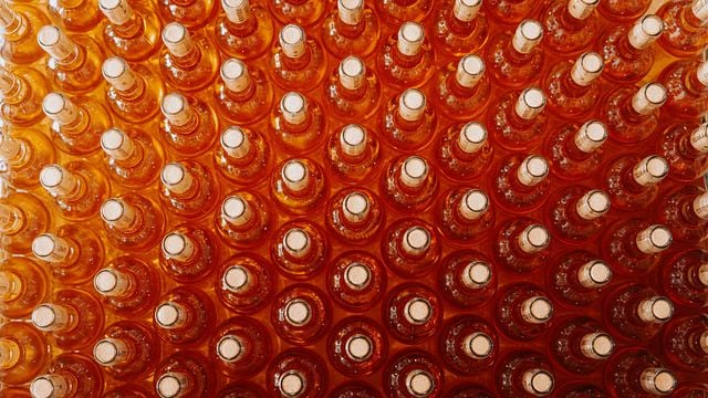 Degustação de vinhos e visita ao Mas Alart