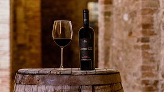 Taste Umbrian Wines with Cheese in a Medieval Castle