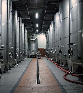 Degustazione di vini e tour a Vinaria Din Vale