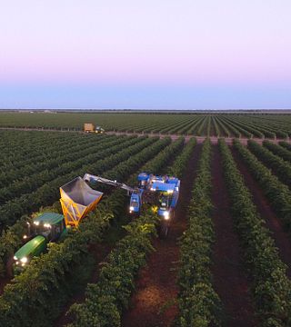 New South Wales Wine Journey at Nugan Estate