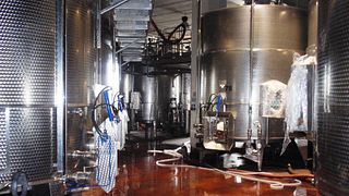 Cantine Patria: A Legacy of Sicilian Winemaking