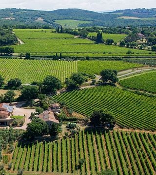 Tuscan Vineyard & Cellar Tour with Brunello Tasting
