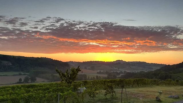 Marco Canato Winery
