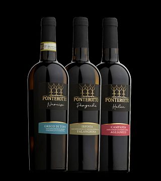 Ponterotto Winery