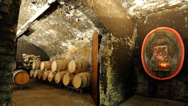 Tour e degustação de vinhos no Winzer von Erbach eG