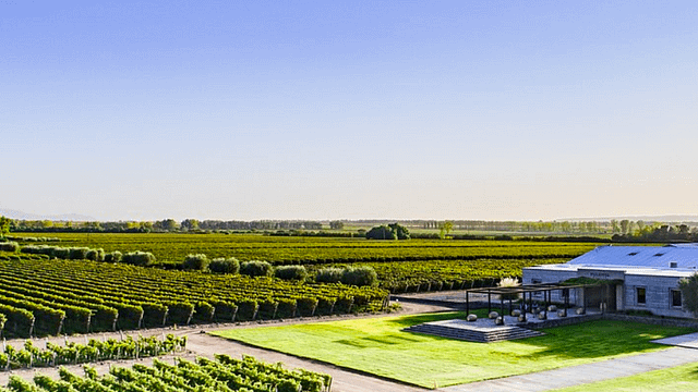 Pulenta Estate Winery