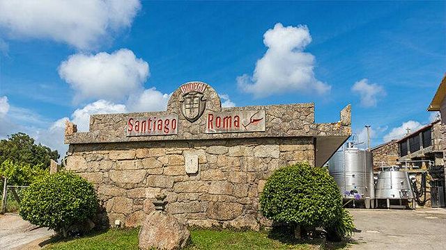 Visita e degustazione di vini alle Bodegas Santiago Roma