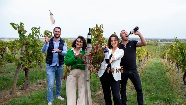 Visita e degustazione di vini allo Château Bellevue La Forêt