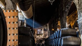 Andalusia's Osborne Legacy: Wine & Brandy Tasting Tour