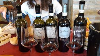 Piedmont Wine & Culinary Tour at Cà De Lion