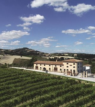Degustação de vinhos e tour na Cantina Colognola
