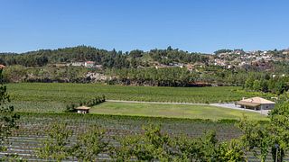 Weinprobe von S. Caetano-Weinen im Quinta da Torre