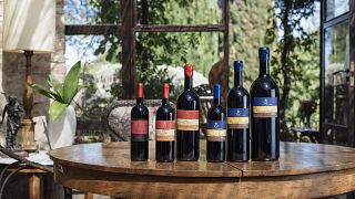 Cata de vinos premium y visita guiada en Castello Di Vicarello