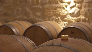 Vignobles Carles